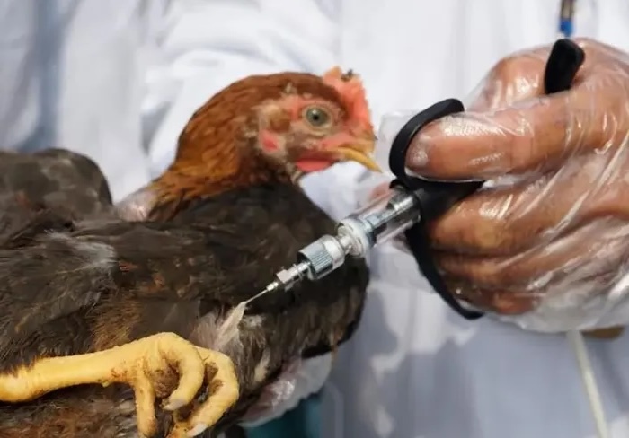 Ветеринарний консалтинг